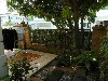 home_easy_buy_20151121101632.jpg