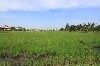 home_easy_buy_20160112084257.jpg