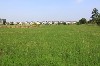 home_easy_buy_20160112084401.jpg
