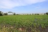 home_easy_buy_20160112084425.jpg