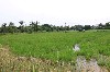 home_easy_buy_20160112084438.jpg