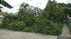 home_easy_buy_20160112084608.jpg