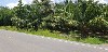 home_easy_buy_20190611100730.jpg