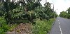 home_easy_buy_20190611100822.jpg