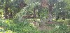 home_easy_buy_20190611100835.jpg