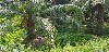 home_easy_buy_20190611101011.jpg
