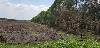 home_easy_buy_20190611101021.jpg