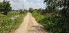 home_easy_buy_20190611101106.jpg